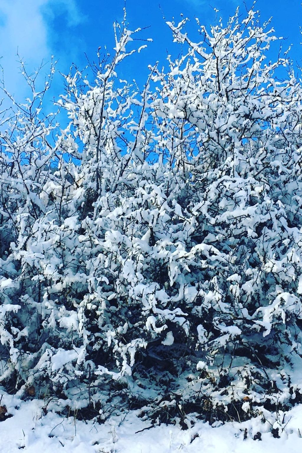 Privatzimmer bügl süt, (Sent). - Dehors