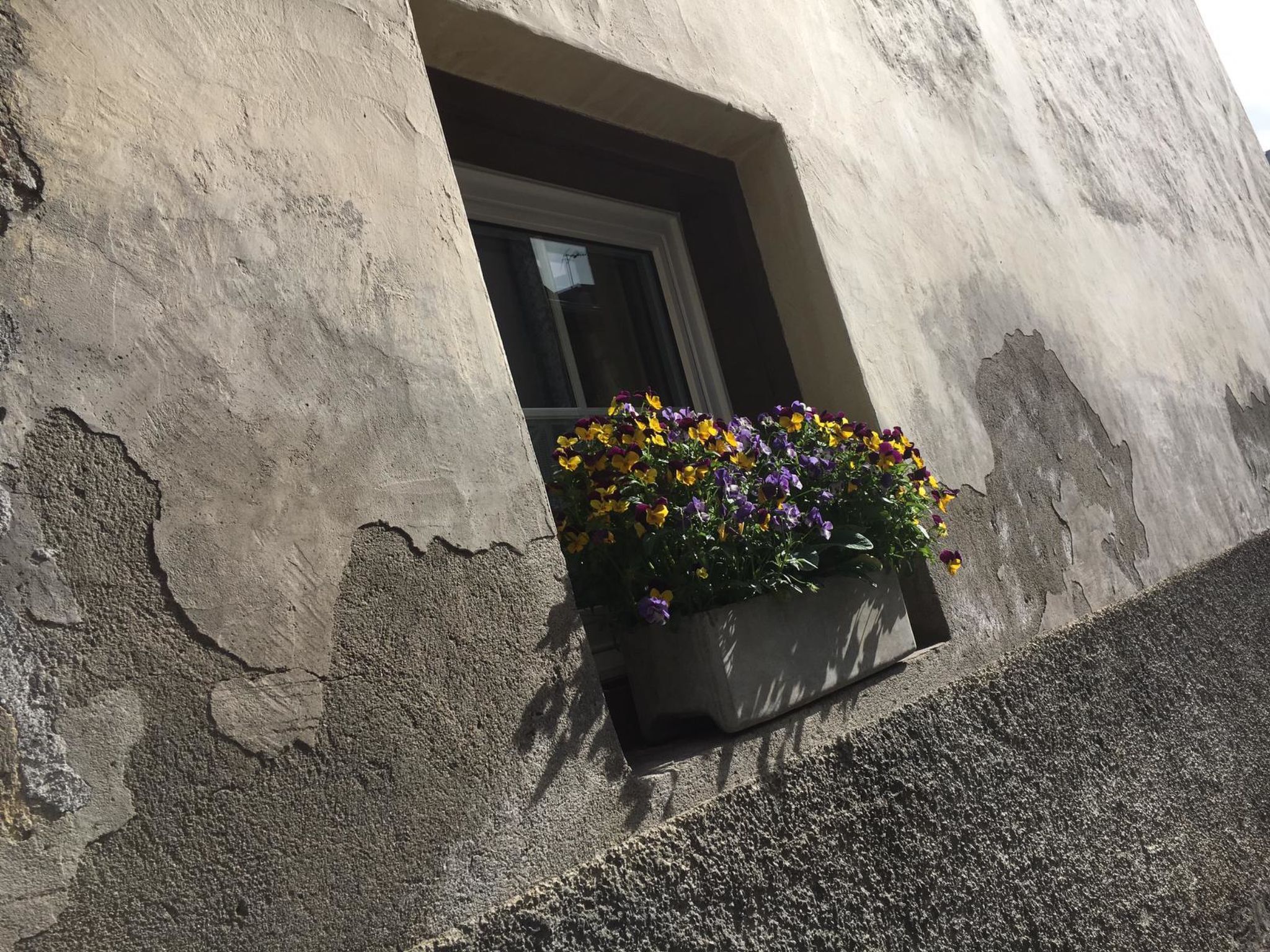 Privatzimmer bügl süt, (Sent). - Dehors