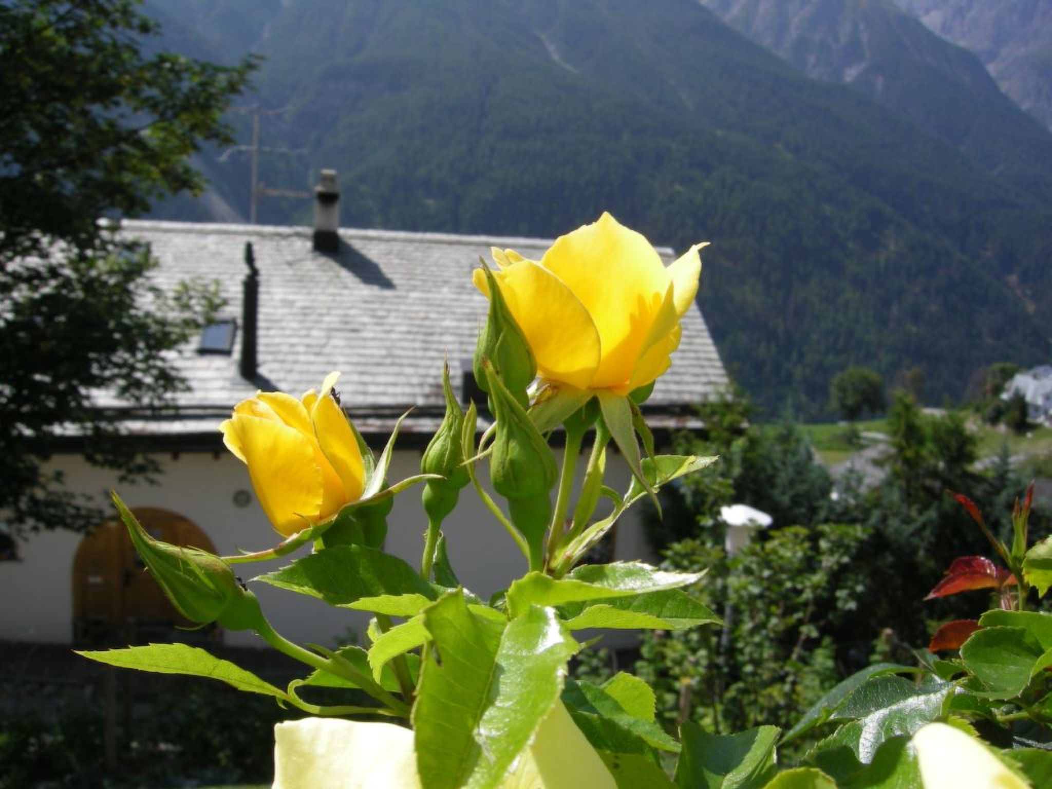 Via Sura 577A, (Sent). - Buiten