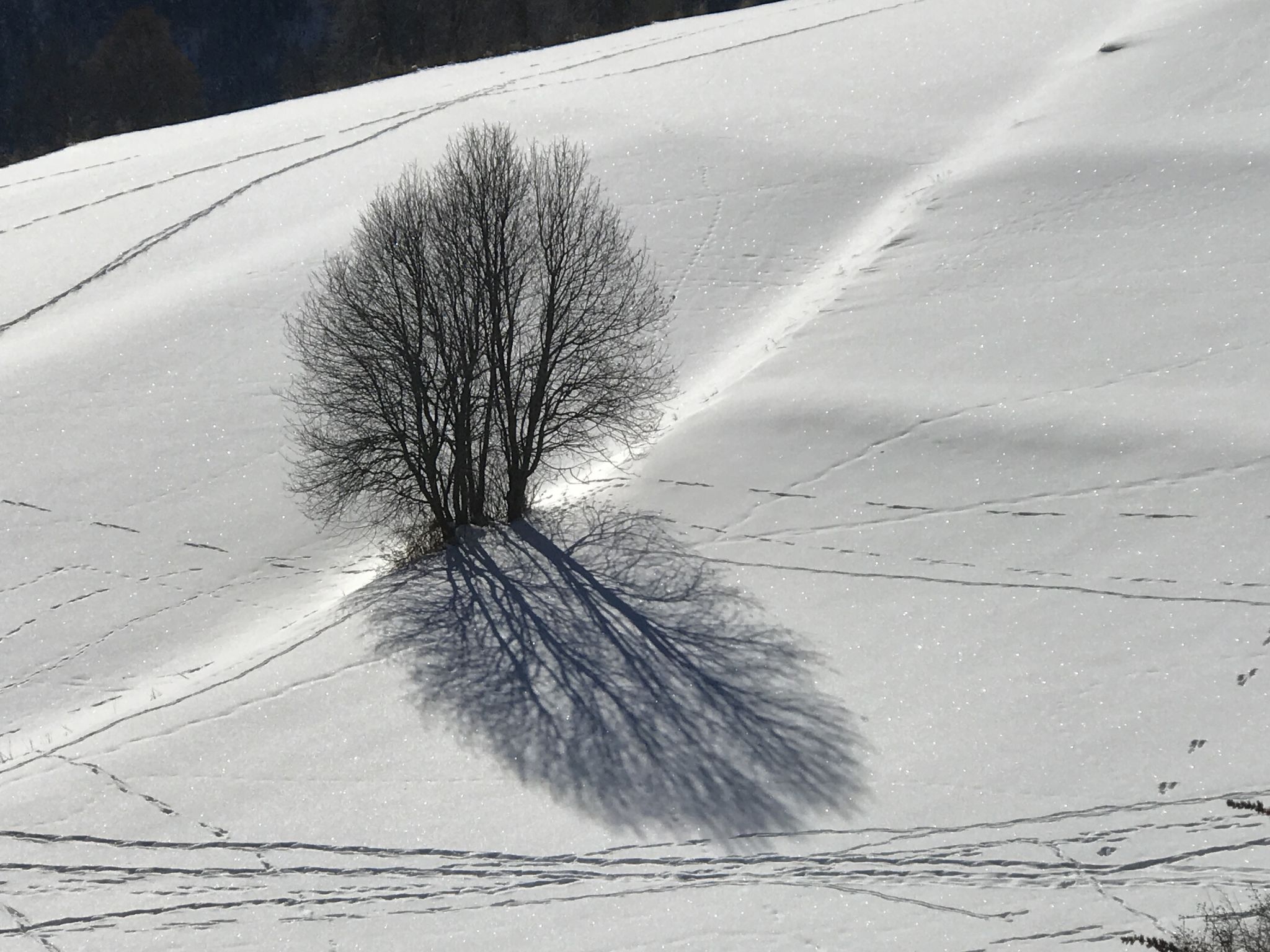 3-Zimmerwohnung Chasa d'Uina, (Sent). - Draußen