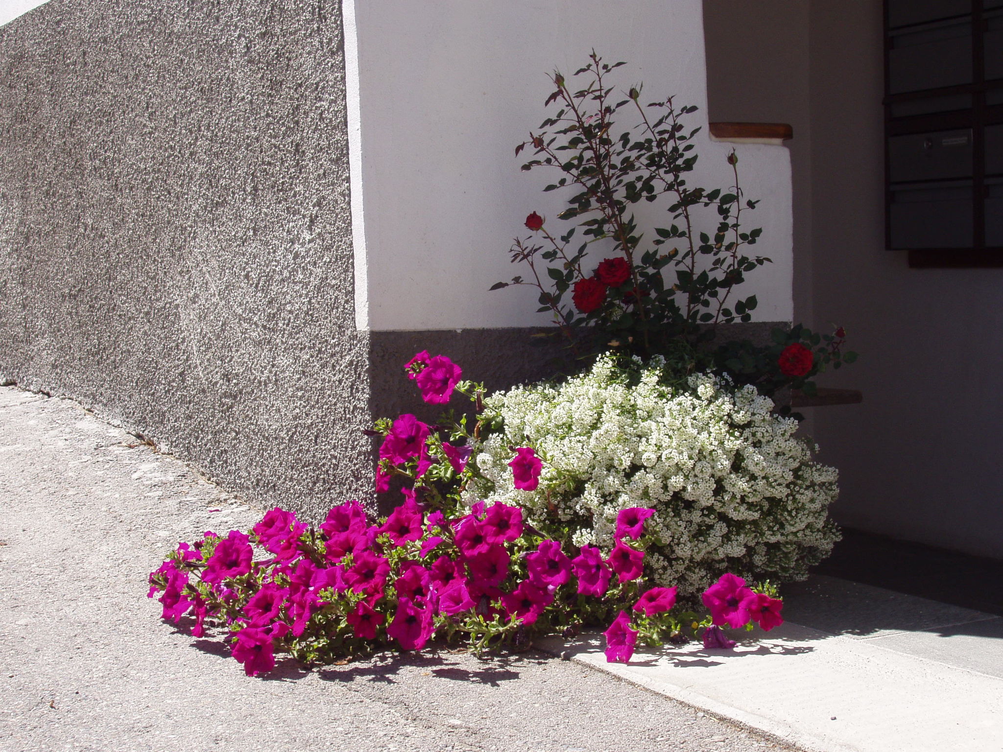 Vidos 270, (Sent). - Draußen