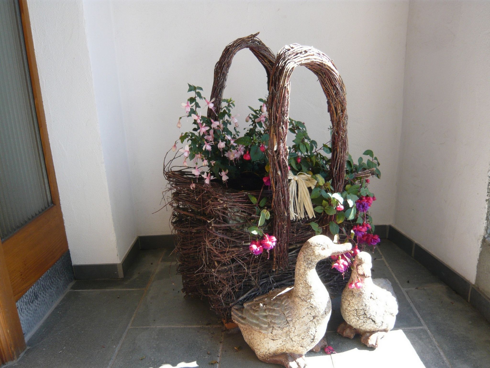 Vidos 270, (Sent). - Draußen