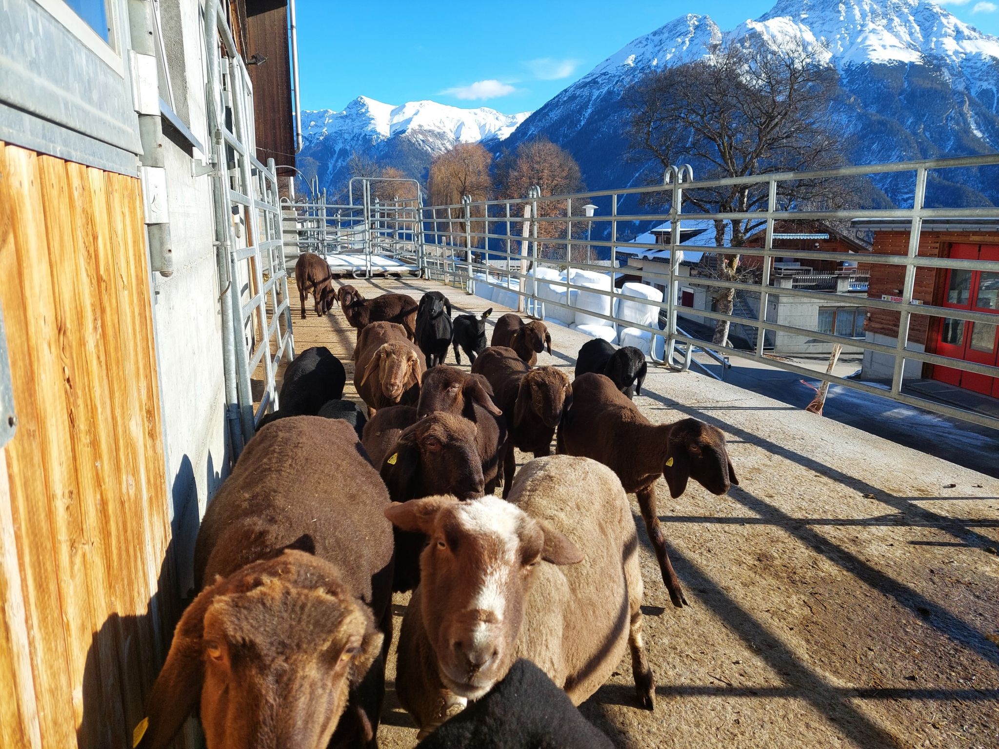 Ferienhof PUA - Erlebnisferien auf dem Bauernhof, (Sent). - Buiten