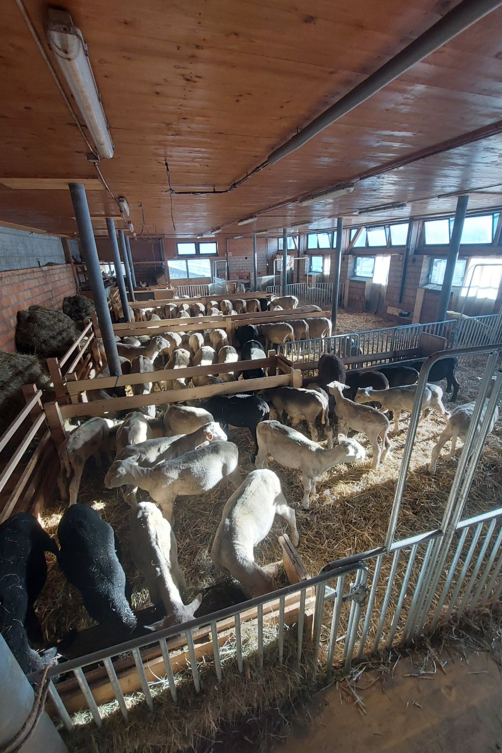 Ferienhof PUA - Erlebnisferien auf dem Bauernhof, (Sent). - Buiten