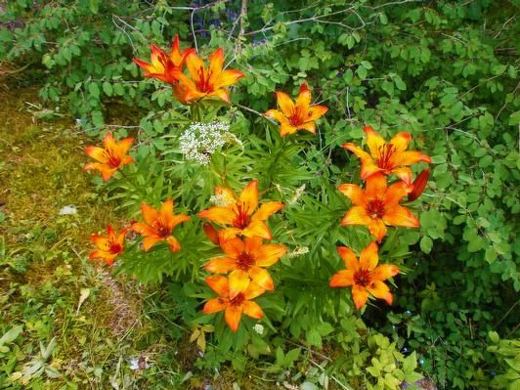 Alte typische Engadinermühle