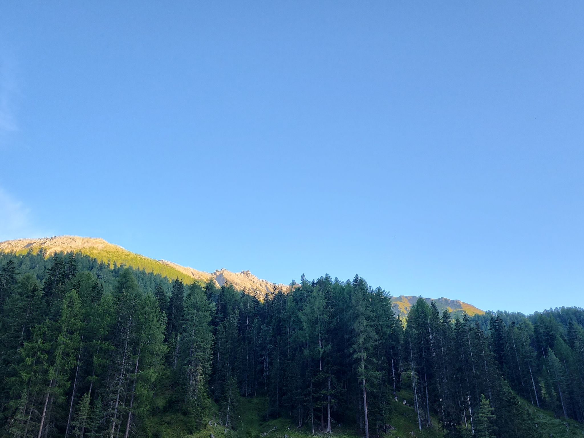 Photo of CH7563.631.1