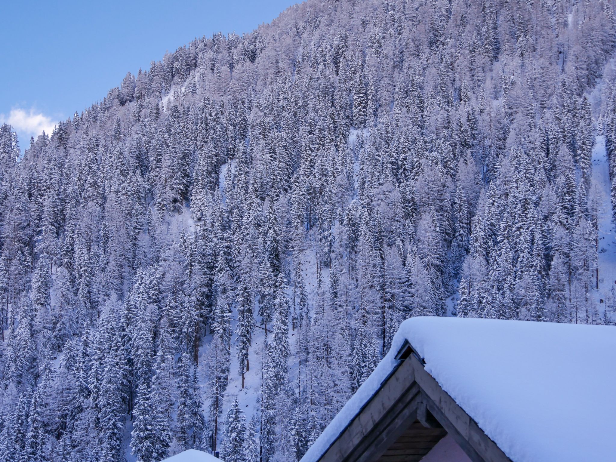 APARTMENT BERGWALDZAUBER – Haus zur Post, (Samnaun-Compatsch). - Buiten