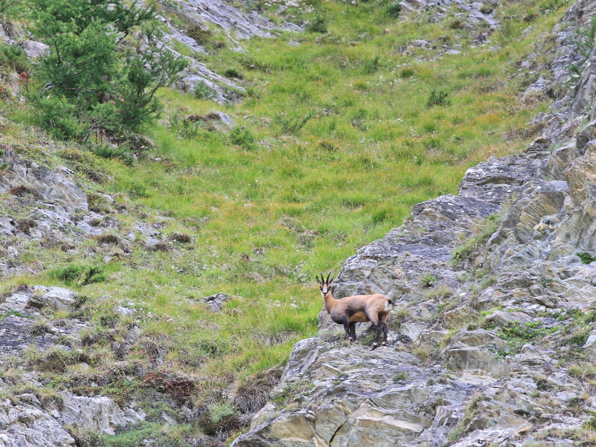 Photo of Apart Prieth Samnaun, (Samnaun-Ravaisch).