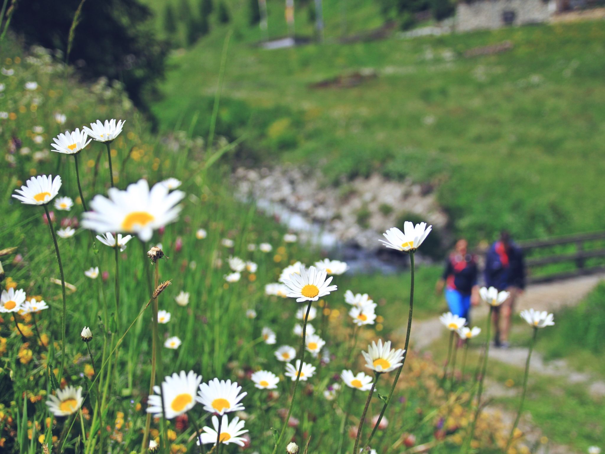 Photo of Apart Prieth Samnaun, (Samnaun-Ravaisch).