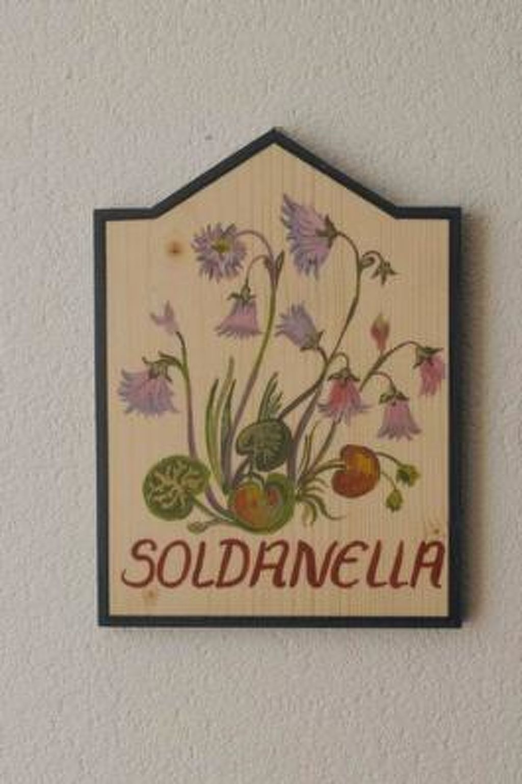 Photo of Chasa SERAINA, (Samnaun-Dorf).