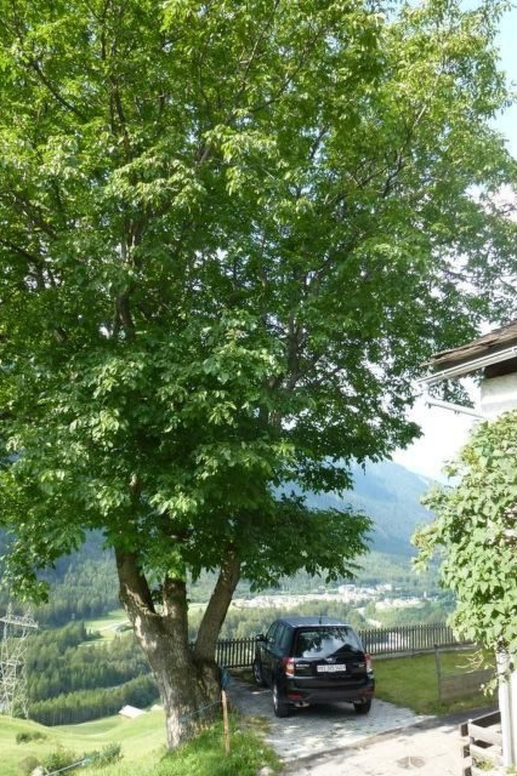 Casa Tavernela-Image-tags.info