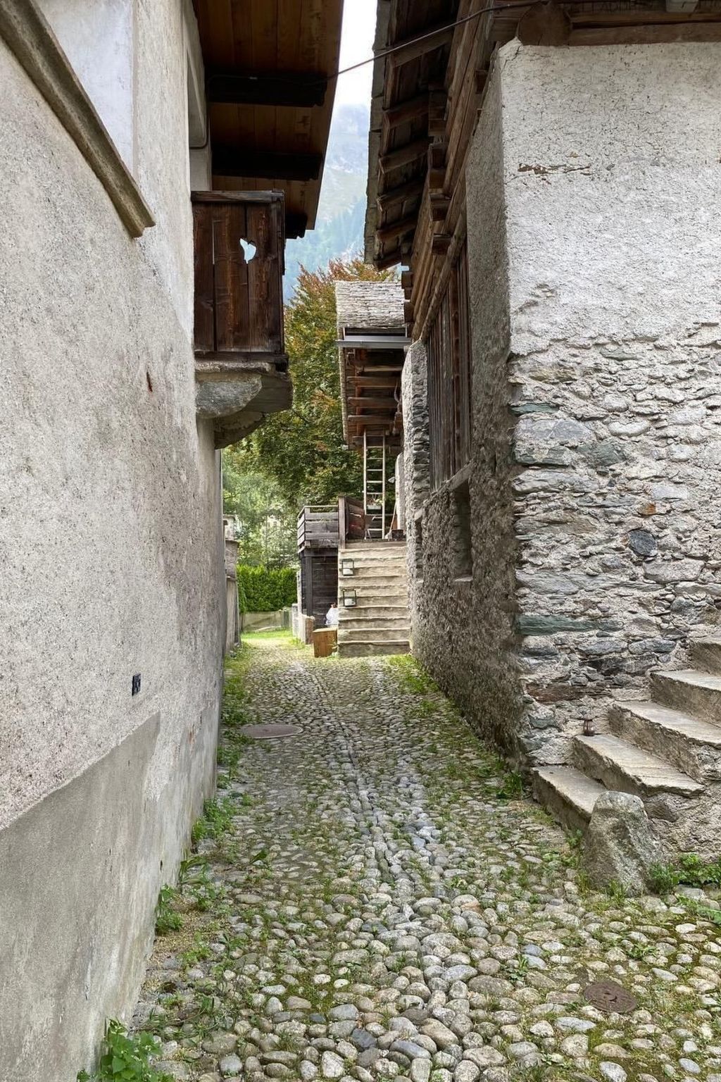 Cad Ciävra-Image-tags.info