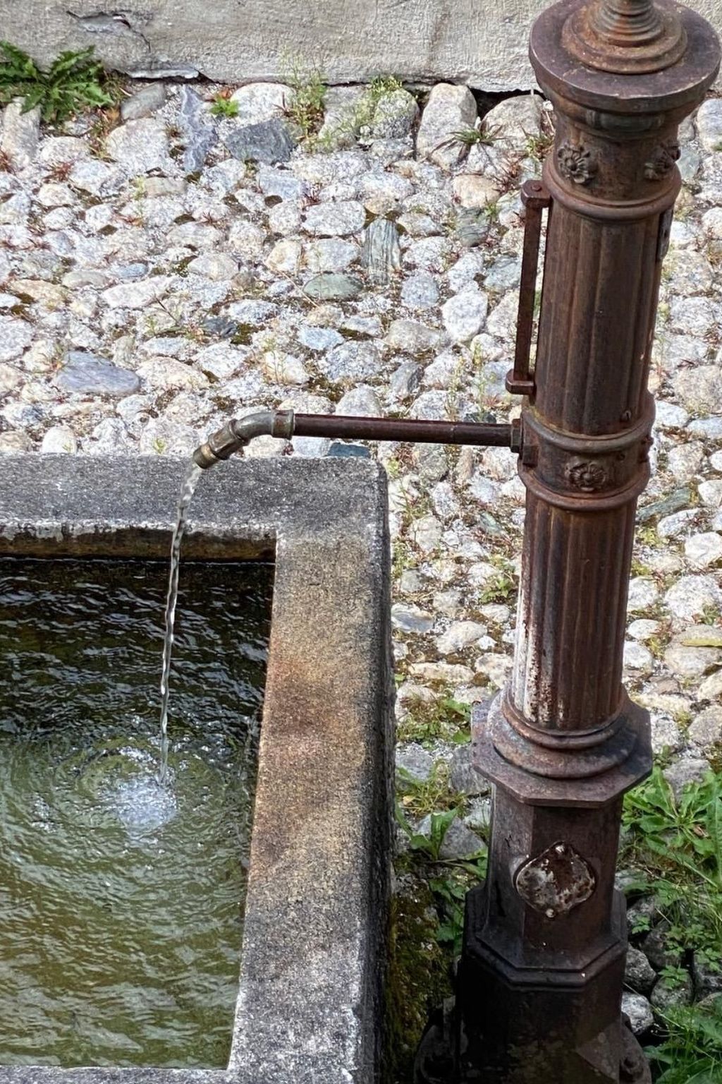 Cad Ciävra-Image-tags.info