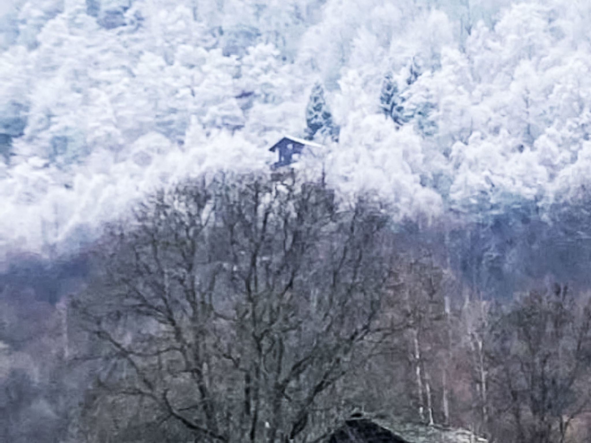 Soglio Slow Living - Buiten