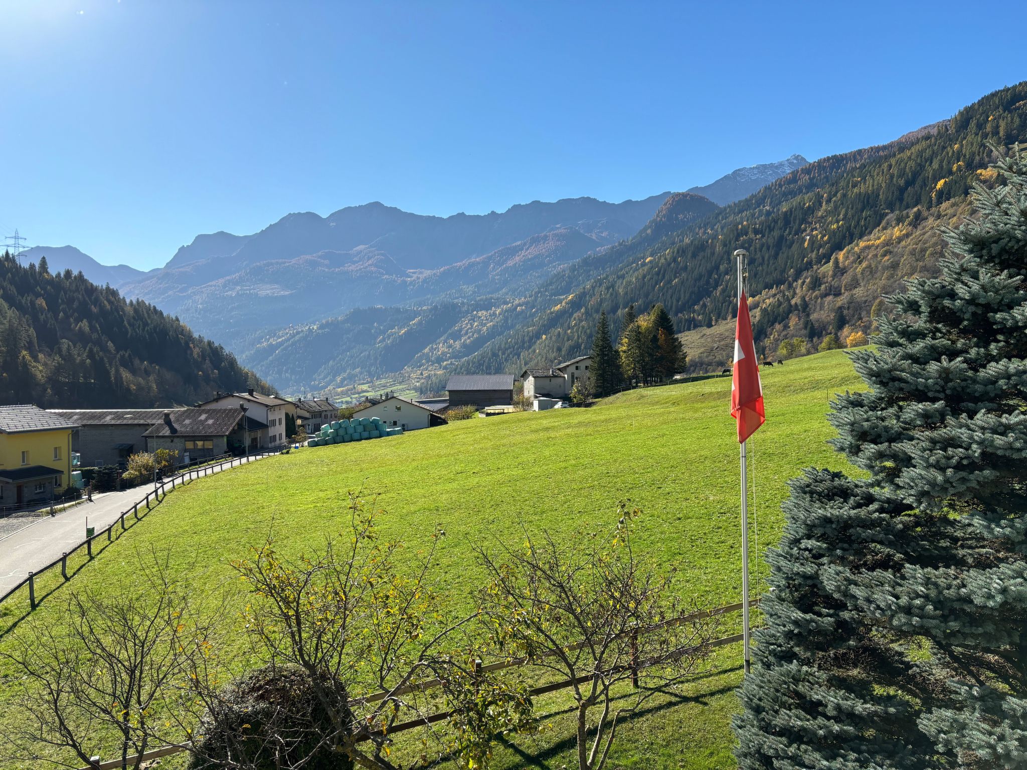 "Window on the grenn"-Binnen