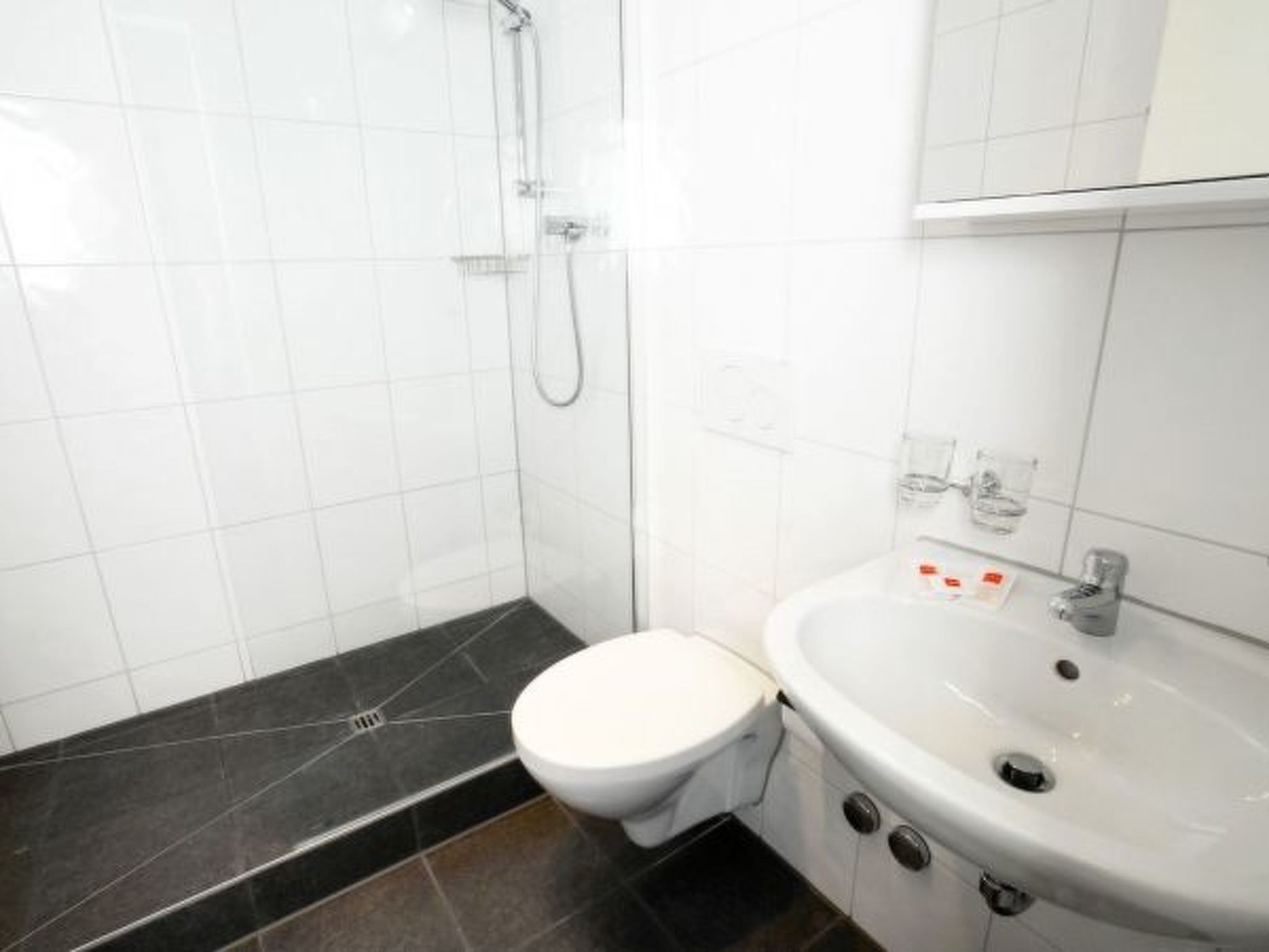 ZH Cranberry - Oerlikon HITrental Apartment - Binnen