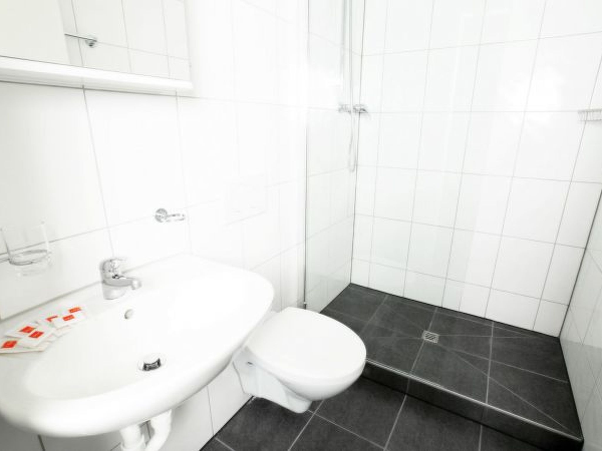 ZH Blueberry - Oerlikon HITrental Apartment - Image 5