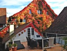 Historisch gastenverblijf bij Rijnwaterval met tuin en terras - thumbnail 1