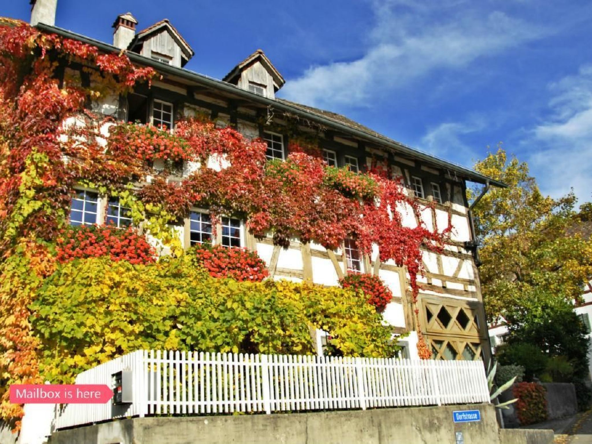 Les Mignardises-Image-tags.info