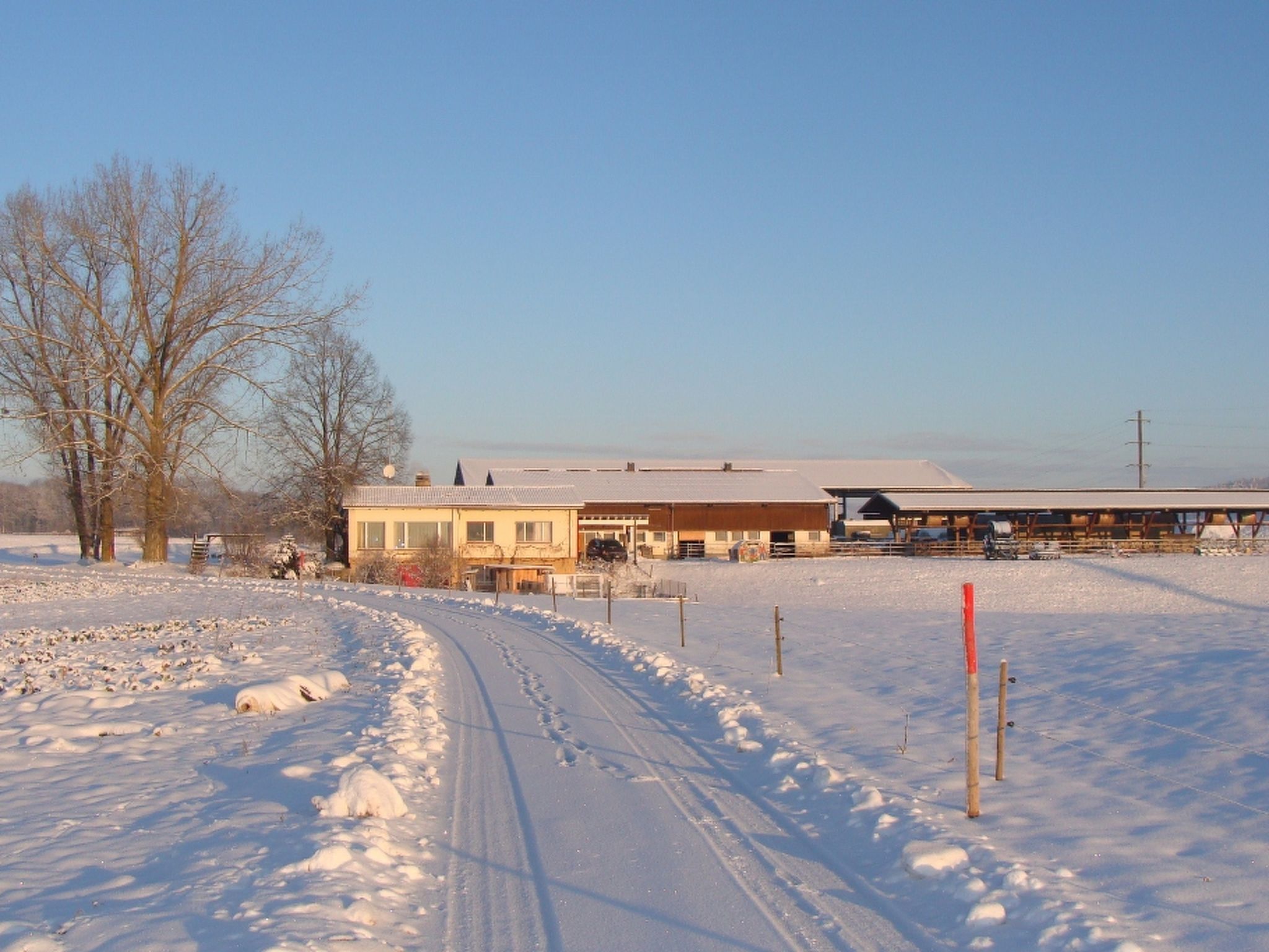 Erlebnis- und Biobauernhof Bolderhof, (Hemishofen),