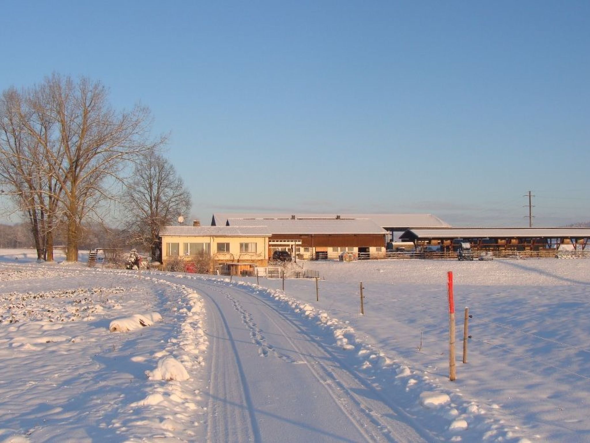 Erlebnis- und Biobauernhof Bolderhof, (Hemishofen),