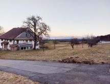 Historisch dubbelboerenhuis aan het Meer van Zürich - thumbnail 4