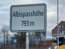 Historisch dubbelboerenhuis aan het Meer van Zürich - thumbnail 5