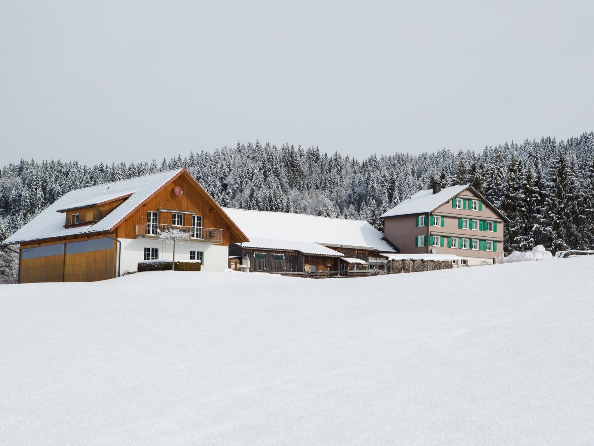 Ferienhof am See – Willerzell, (Willerzell), - Dehors