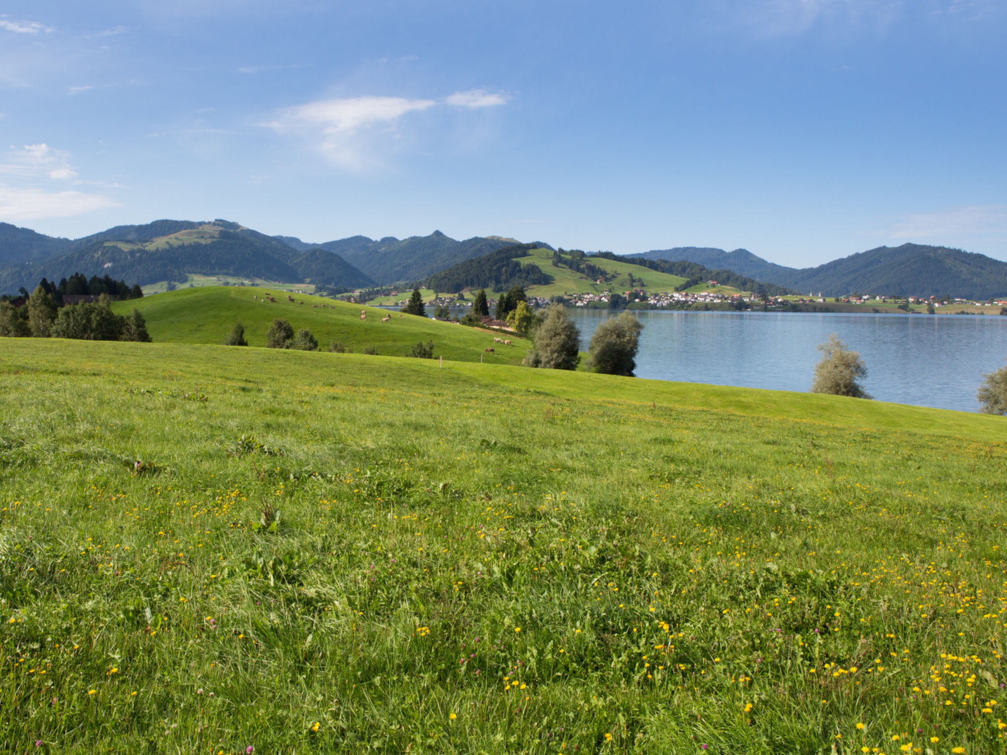 Ferienhof am See – Willerzell, (Willerzell), - Dehors