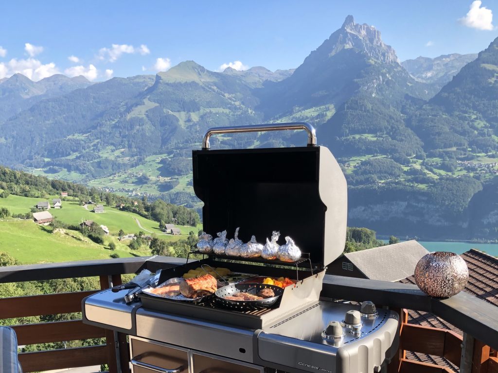 Appartement Penthouse Brugg in Zwitserland