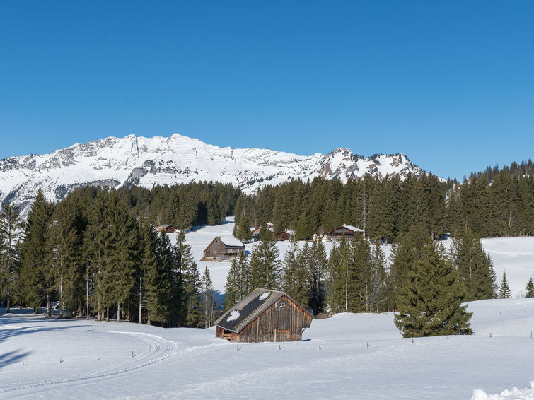 Slide3 - Chalet Gschwend