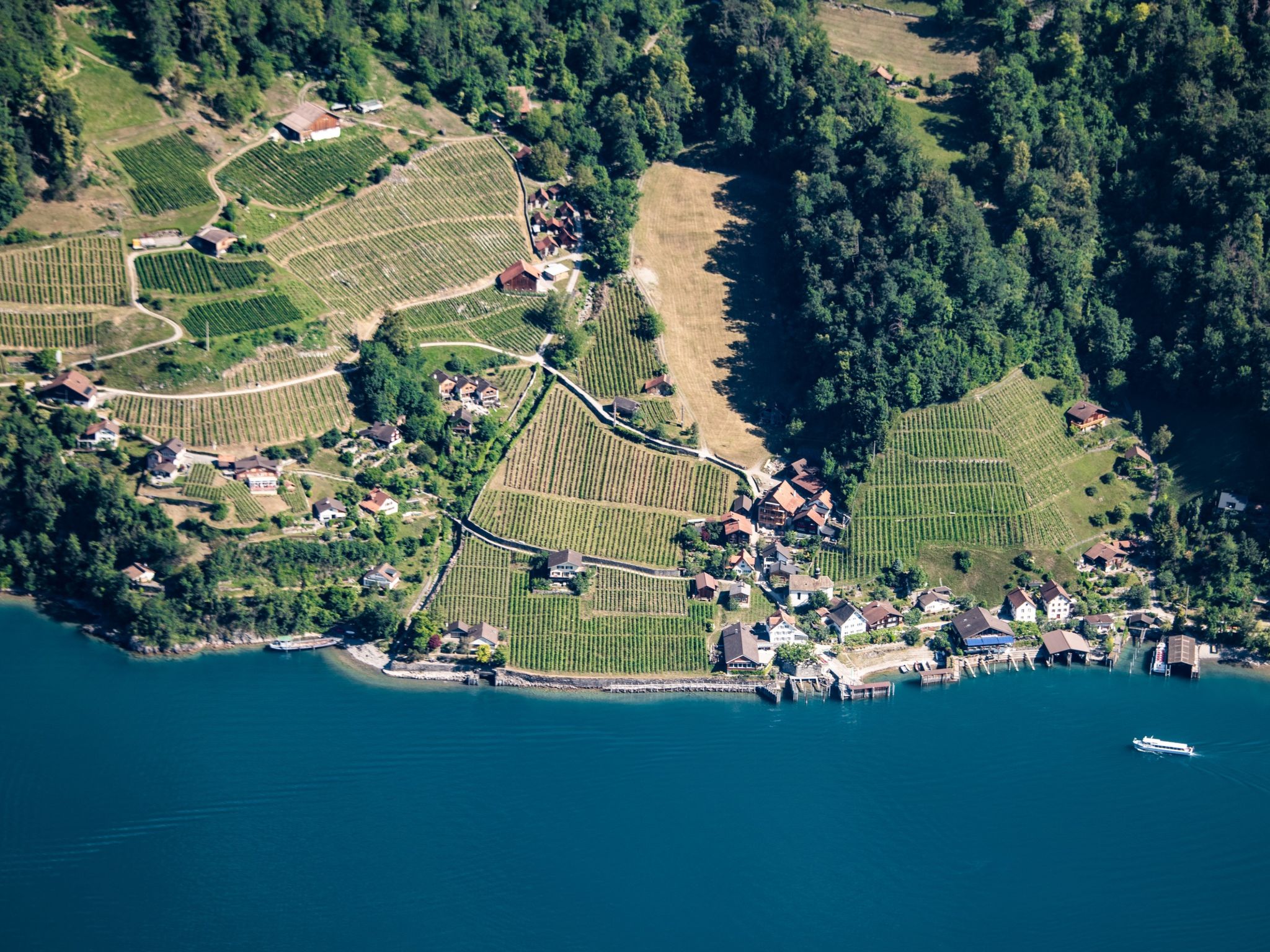 Tremondi Boutique BNB & Restaurant, (Quinten). Rotauge - Image-tags.info