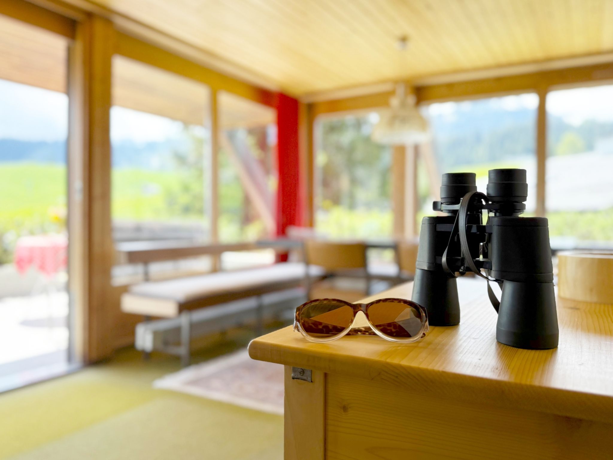 Haus DOMO, (Flumserberg Tannenboden). EG - 3.5-Zimmerwohnung Dusche/Terrasse - Binnen