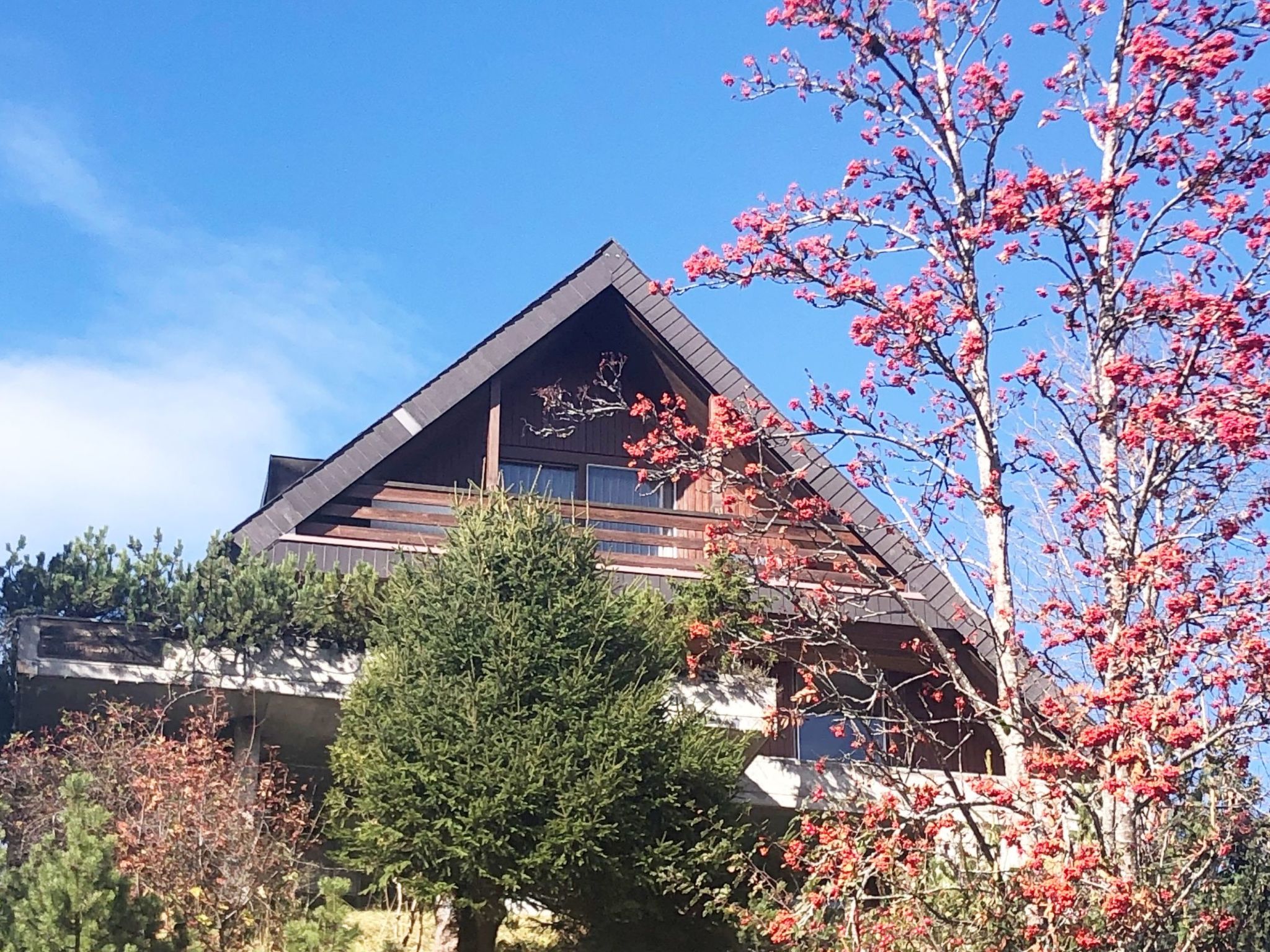 Haus DOMO, (Flumserberg Tannenboden),