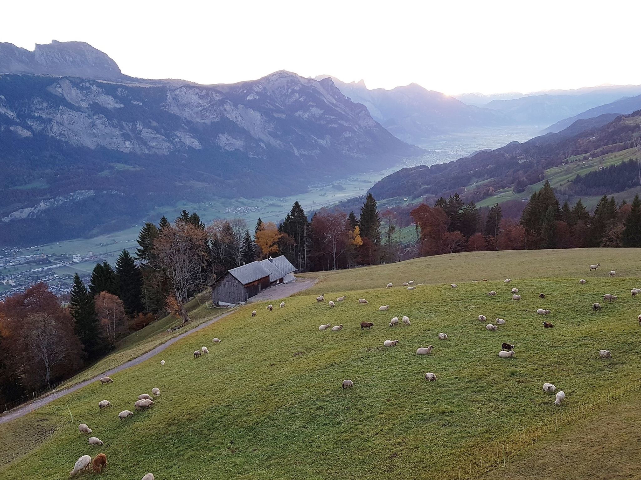 Schwendihof, (Flumserberg Tannenheim),
