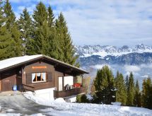 Ruim 4.5-kamer chalet aan de Tobelbach in Flumserberg Tannenheim - thumbnail 2
