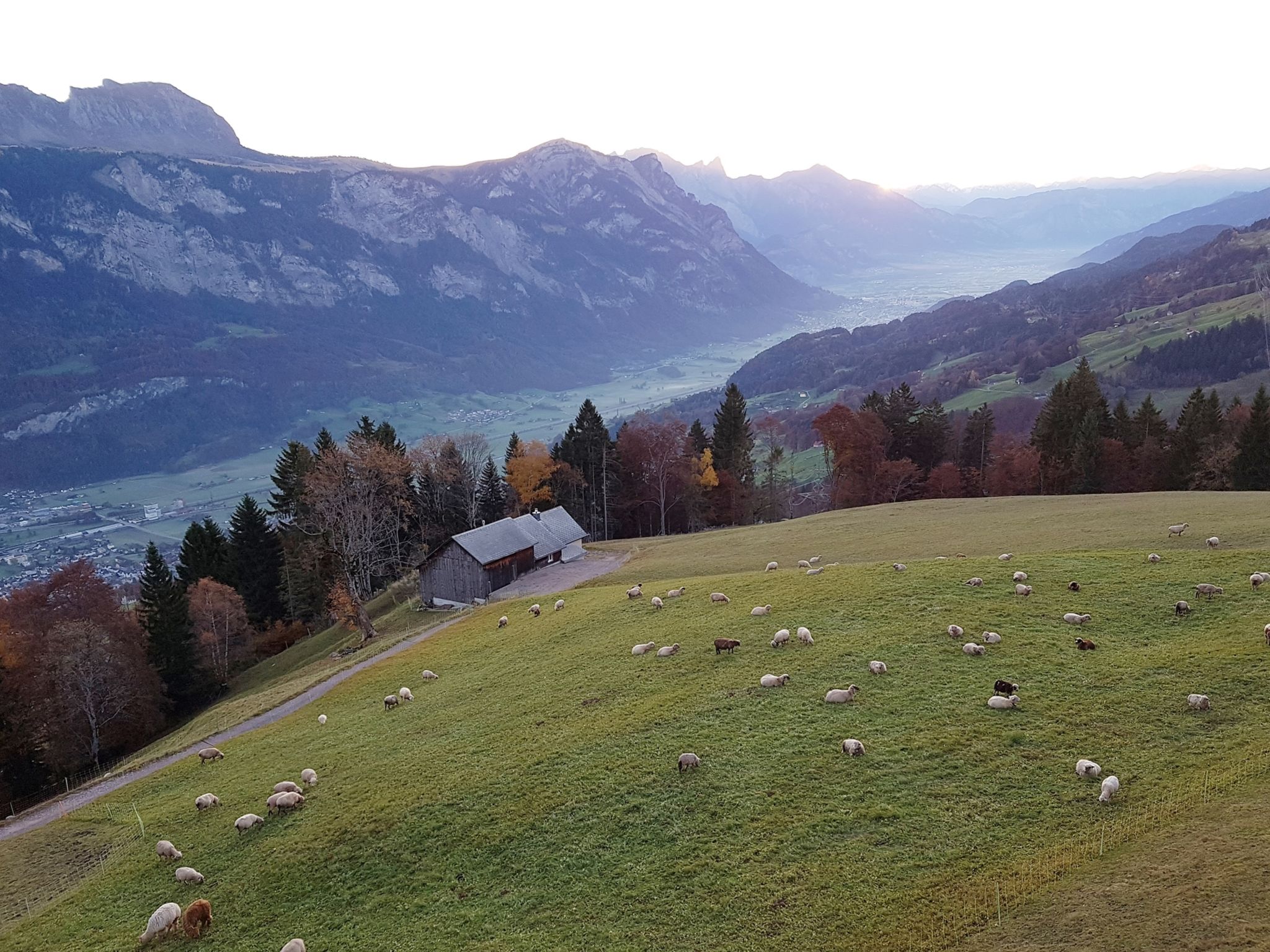 Schwendihof, (Flumserberg Tannenheim), - Image 5