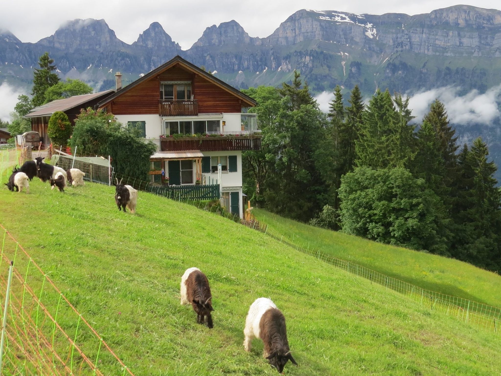 Schwendihof, (Flumserberg Tannenheim),