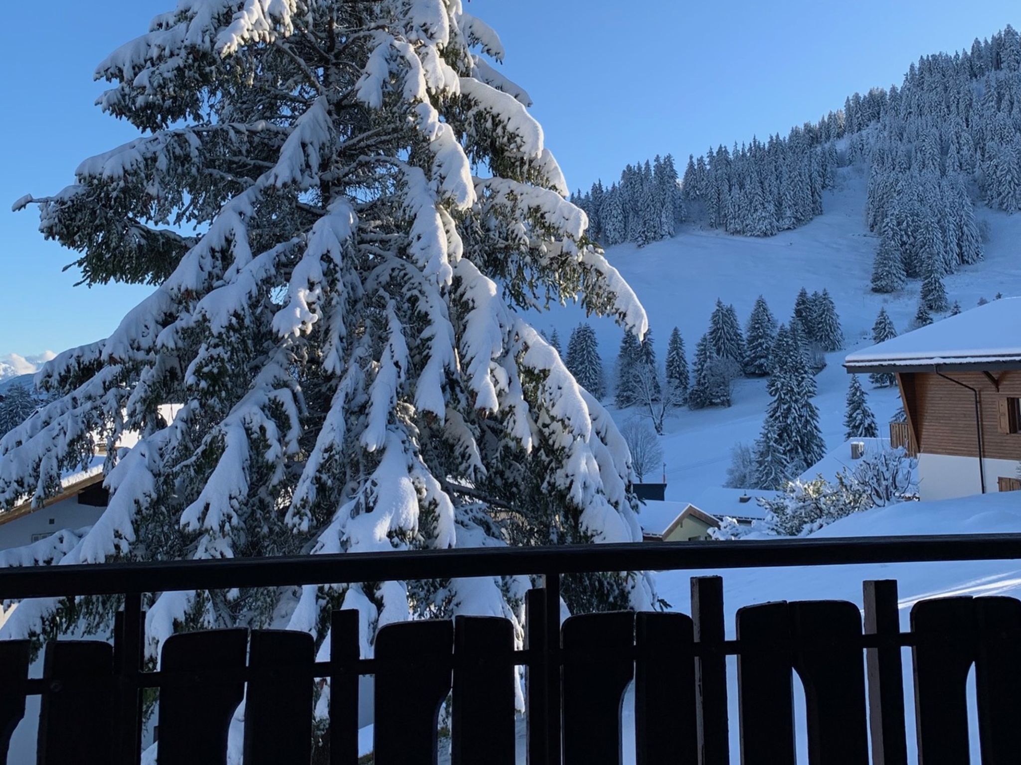 Chalet Marlies, (Flumserberg Tannenboden),
