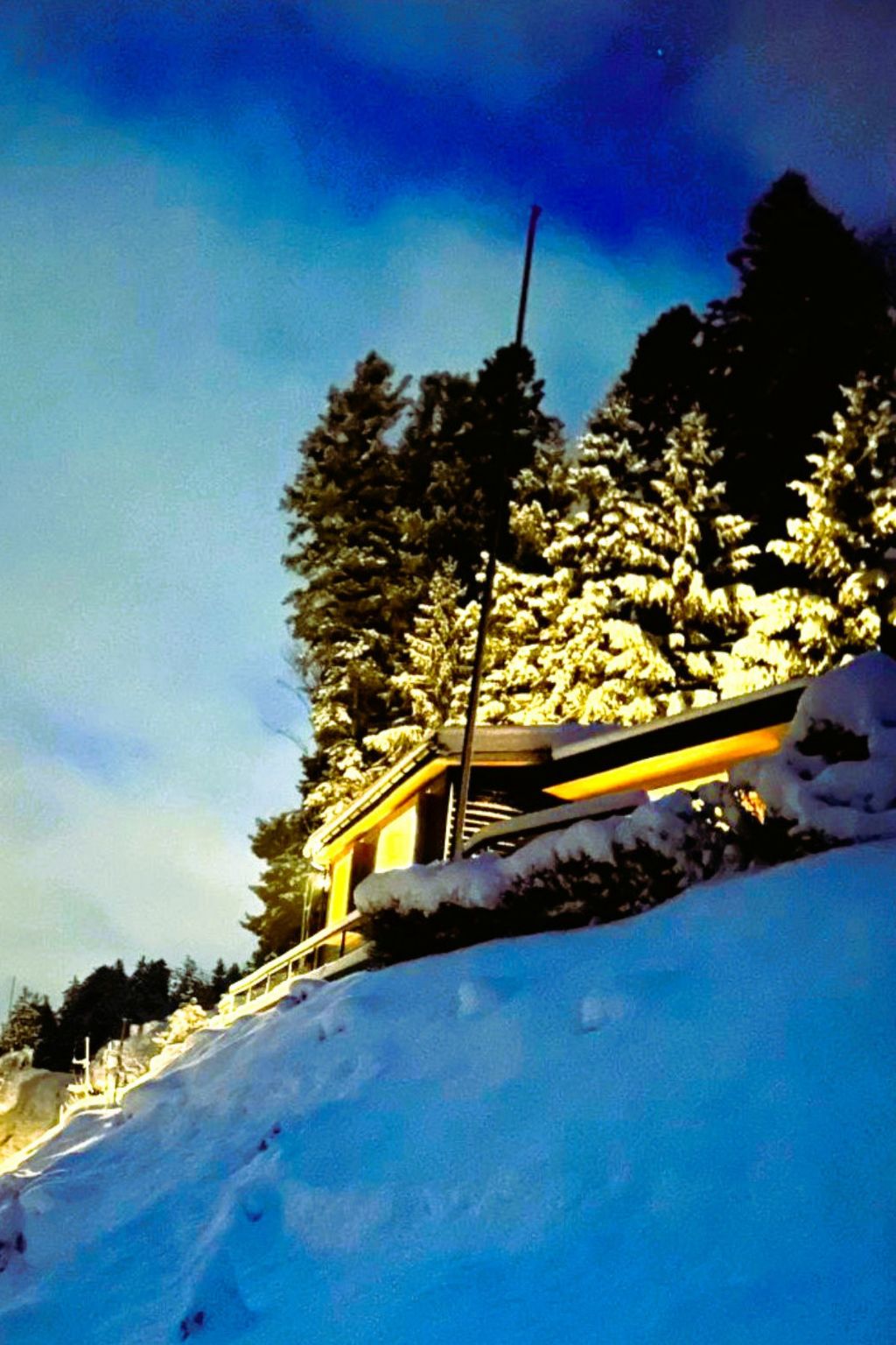 Chalet Waldhüsli (CharmingStay), (Flumserberg Tannenboden), - Dehors
