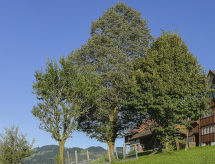 Ferien Alpsteinblick