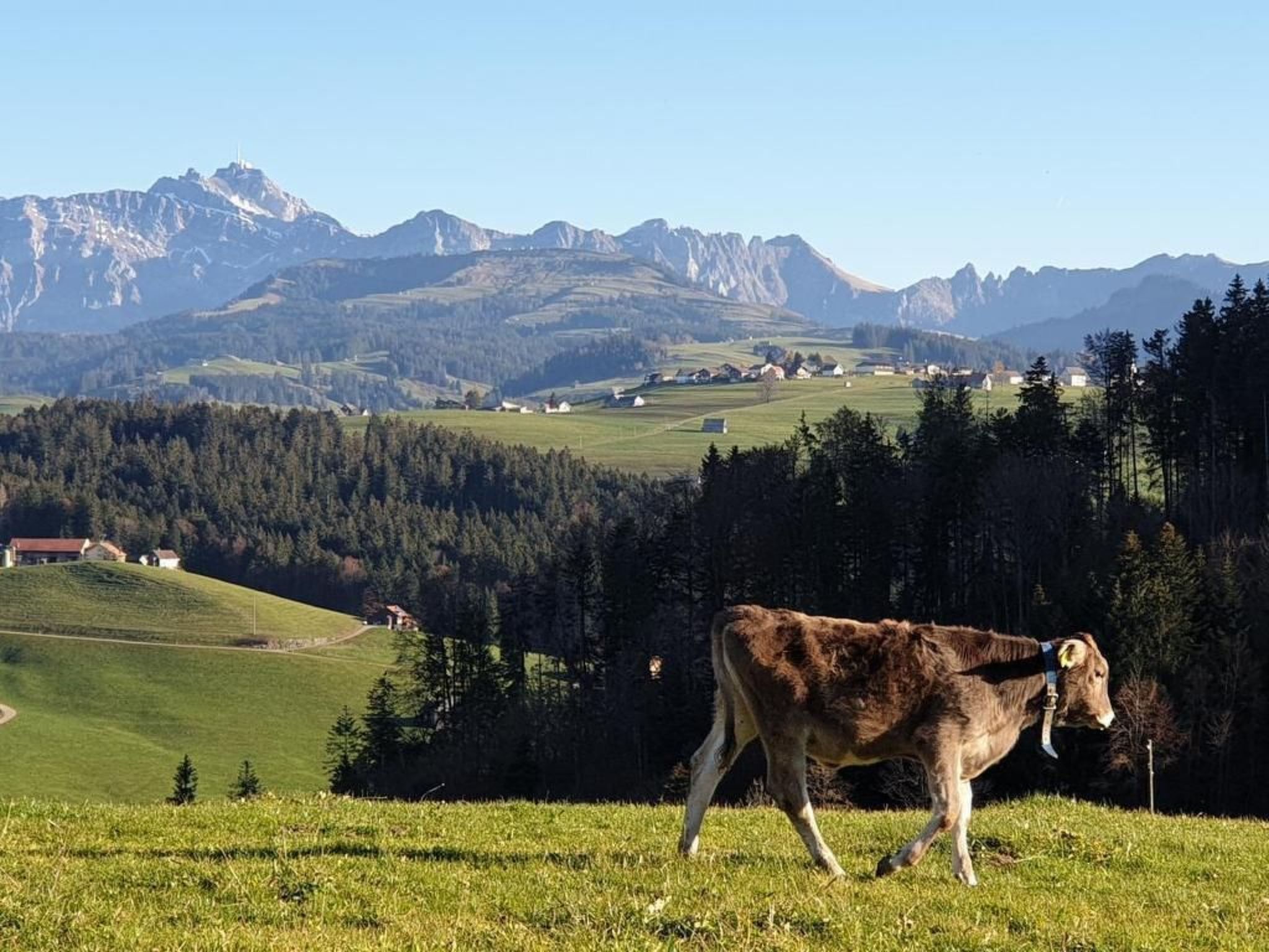 Chalet Traumfleck-Binnen