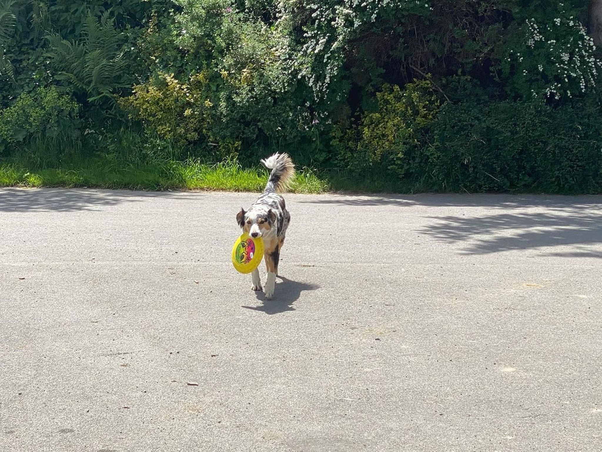 Alpakahof Ferien-Dehors