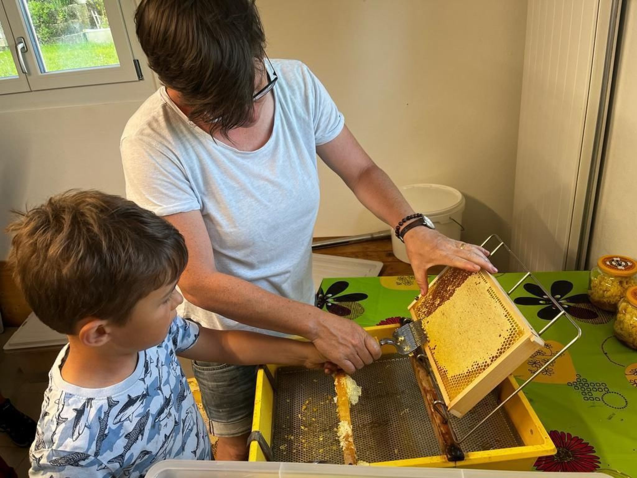 Alpakahof Ferien-Dedans