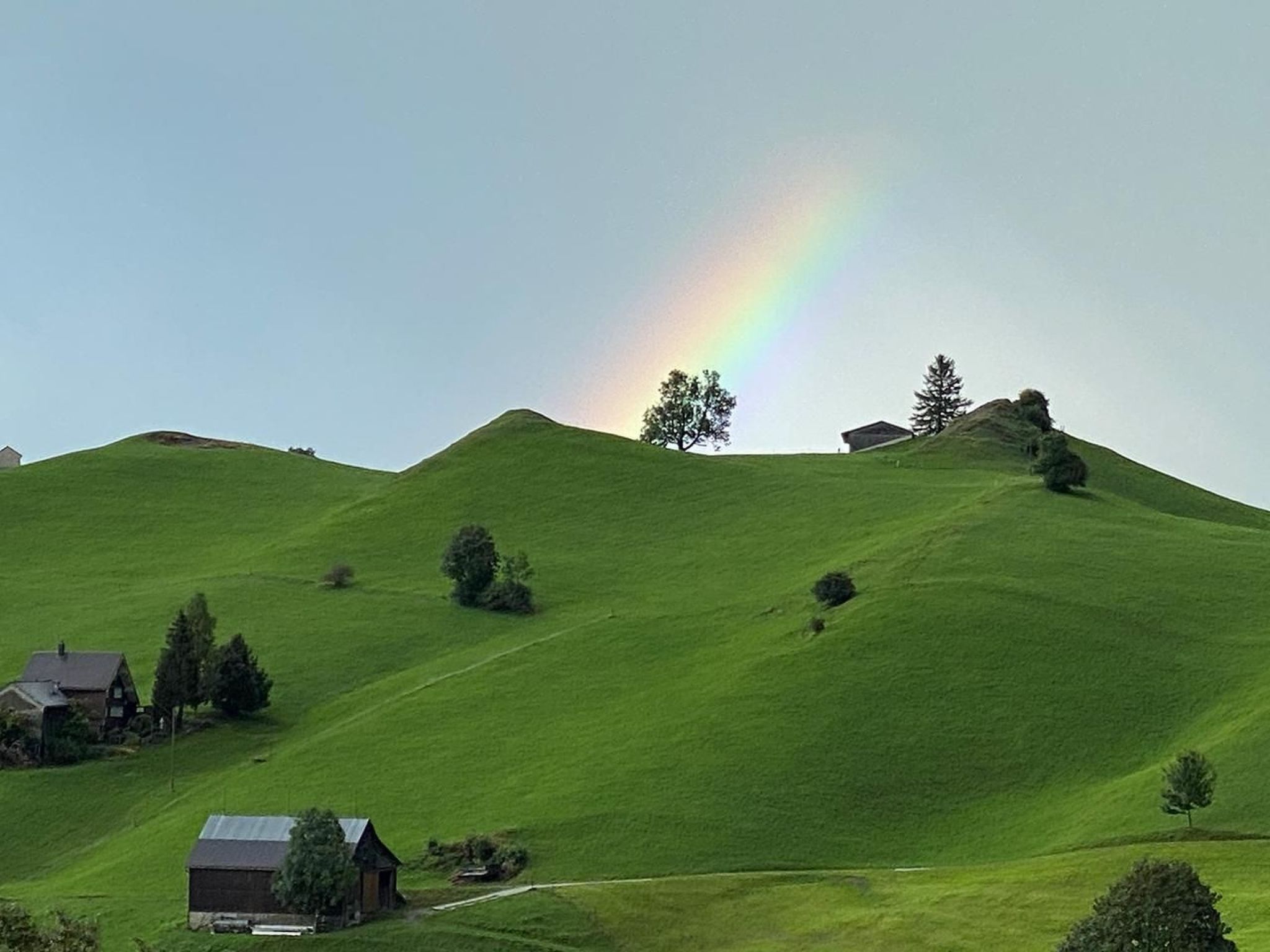 Alpakahof Ferien-Dehors