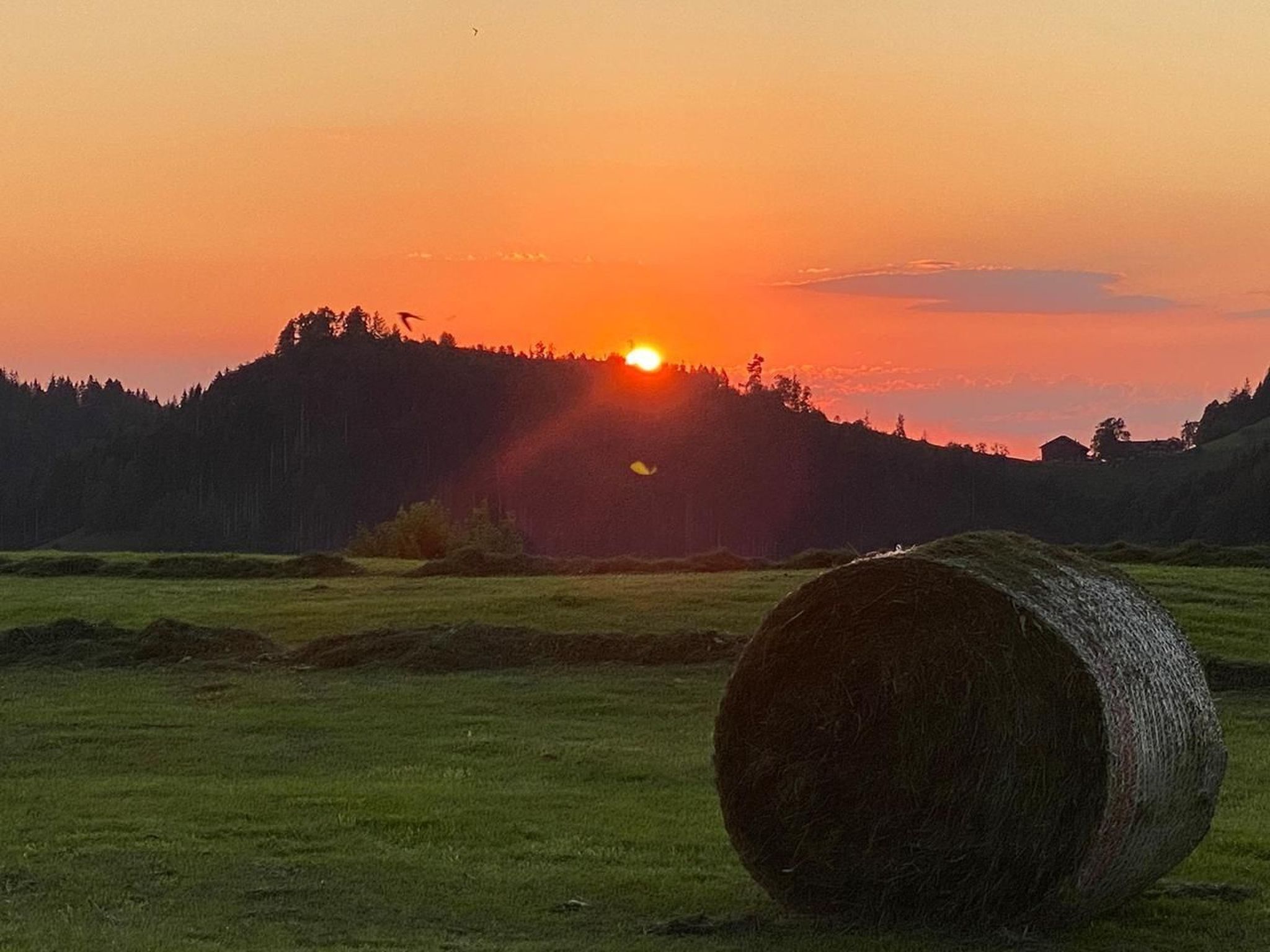 Alpakahof Ferien-Dehors