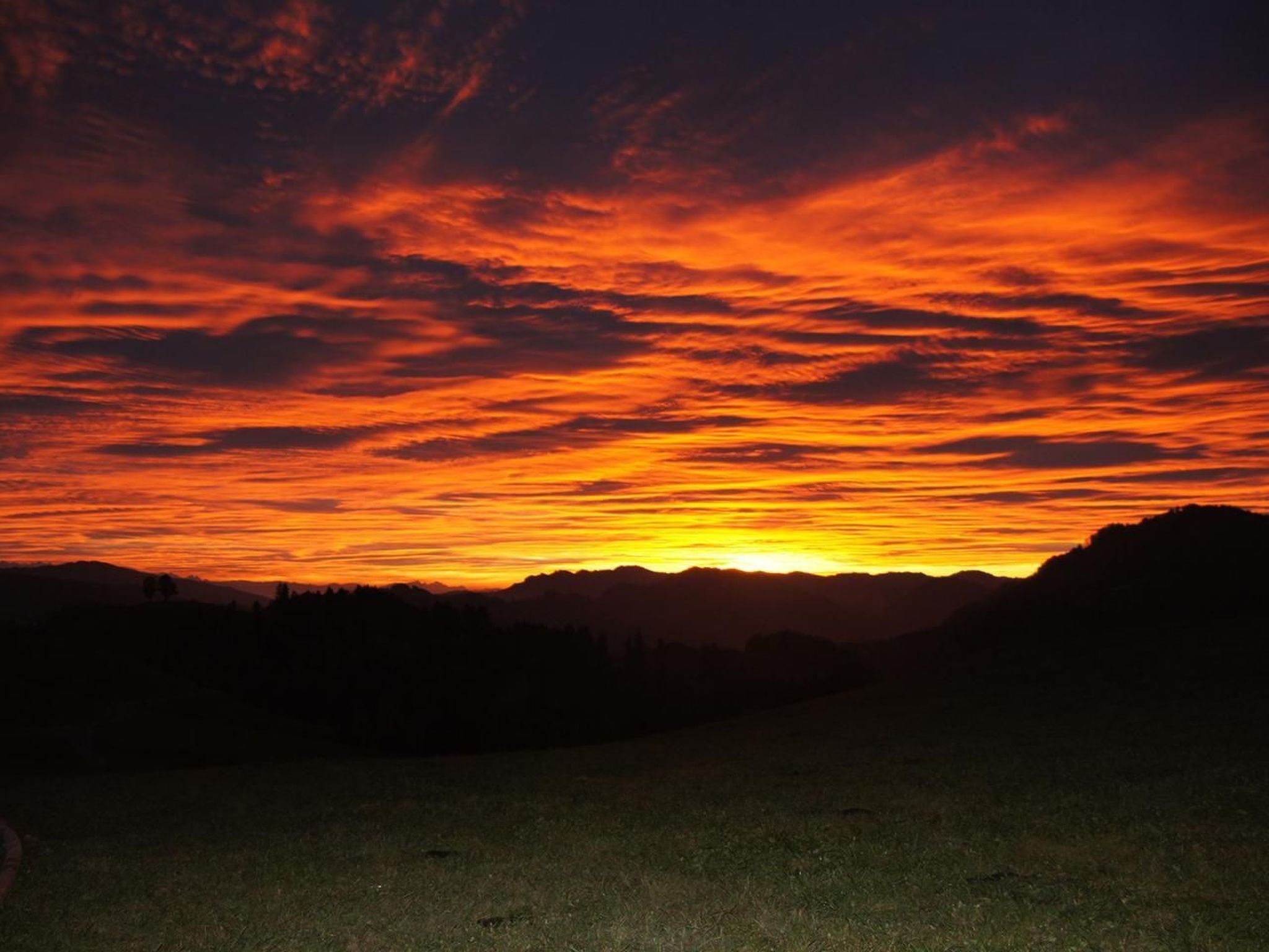 Alpakahof Ferien-Dehors