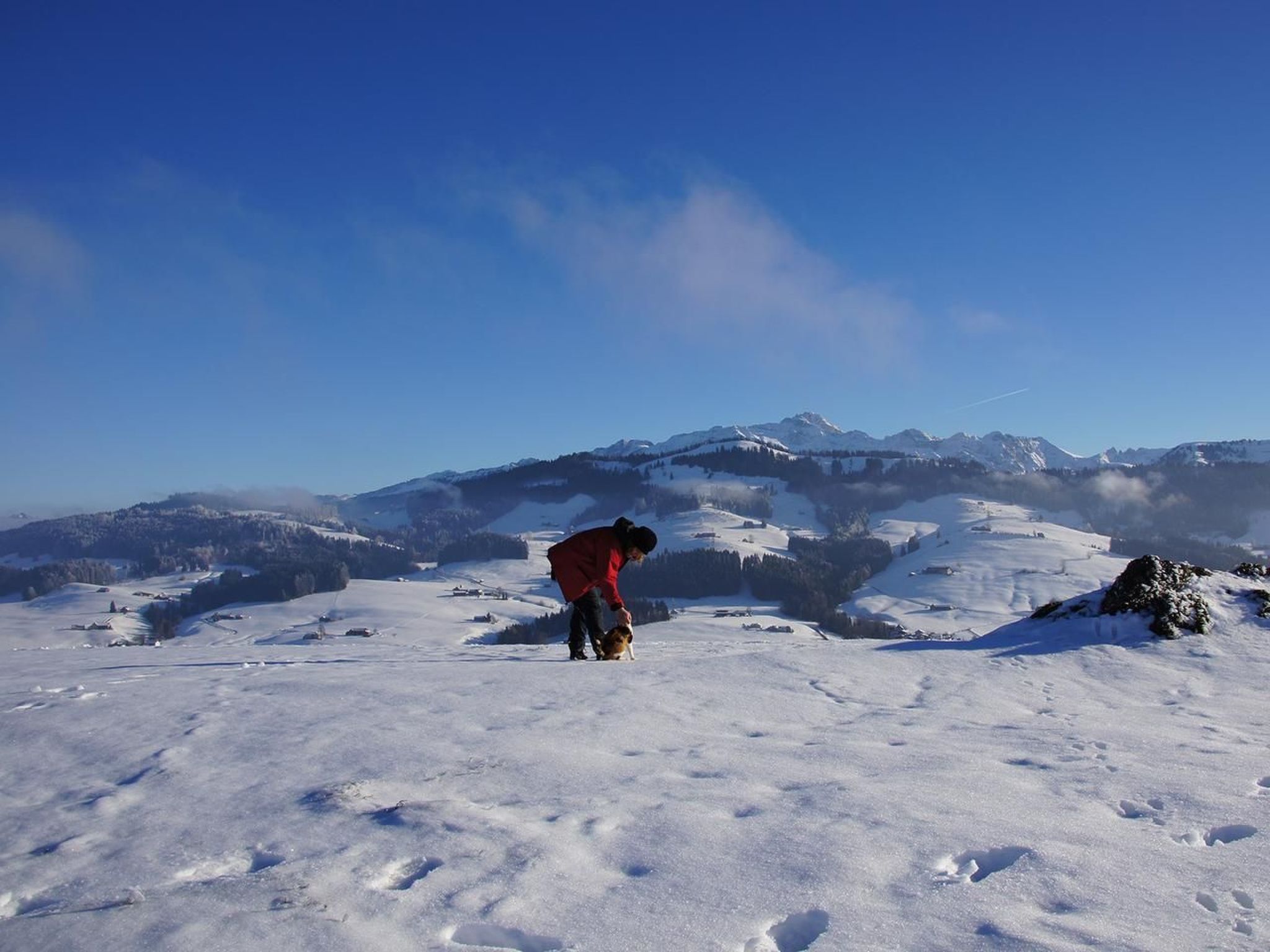 Alpakahof Ferien-Image-tags.info