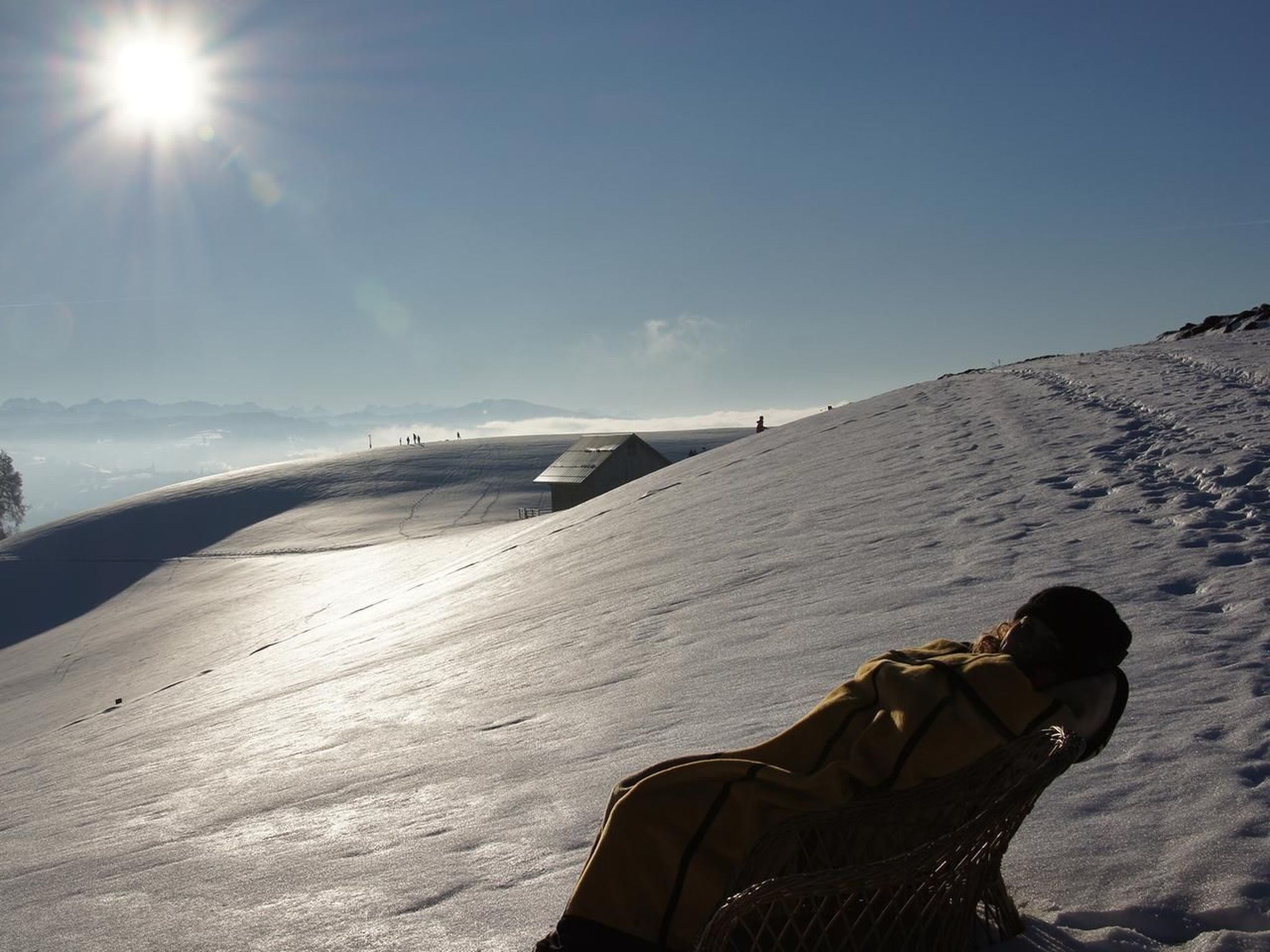 Alpakahof Ferien-Image-tags.info