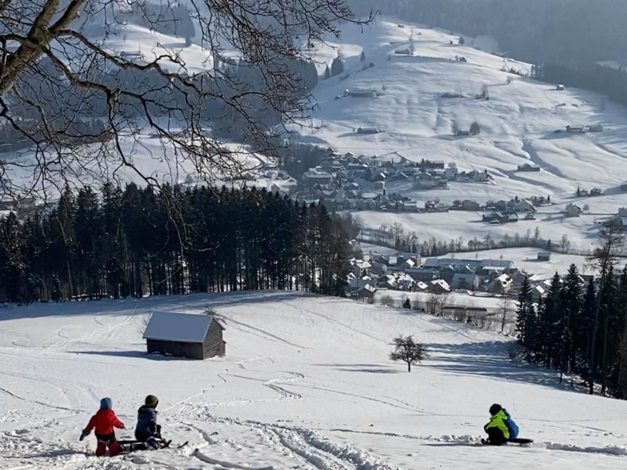 Alpakahof Ferien-Dehors